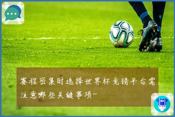 赛程密集时选择世界杯竞猜平台需注意哪些关键事项-