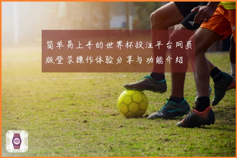 简单易上手的世界杯投注平台网页版登录操作体验分享与功能介绍