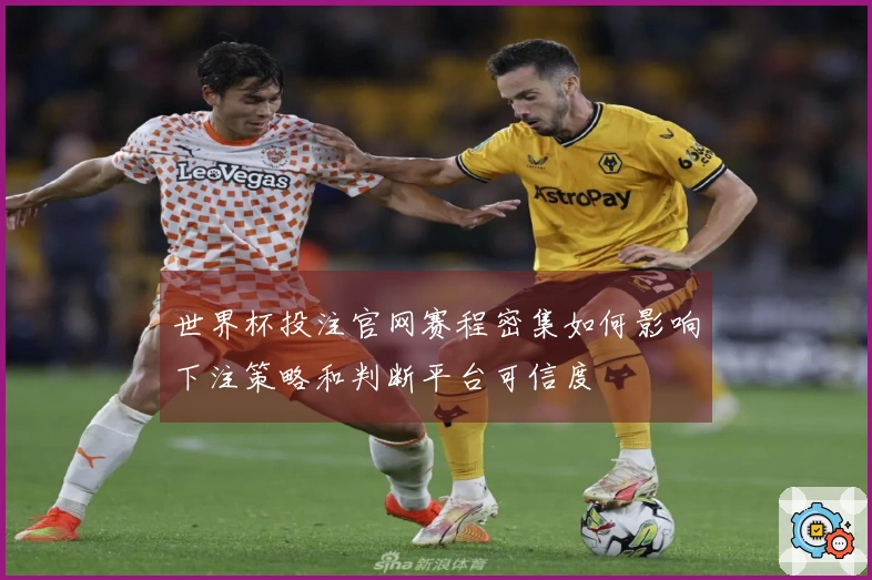 世界杯投注官网赛程密集如何影响下注策略和判断平台可信度