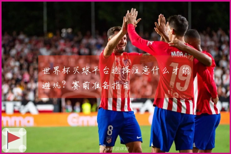 世界杯买球平台选择注意什么才能避坑？赛前准备指南