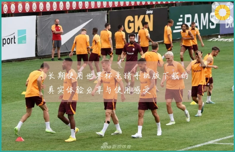 长期使用世界杯竞猜手机版下载的真实体验分享与使用感受