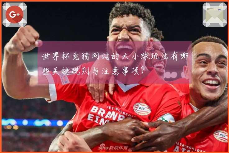 世界杯竞猜网站的大小球玩法有哪些关键规则与注意事项？