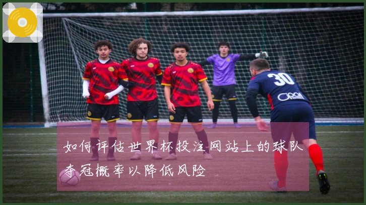 如何评估世界杯投注网站上的球队夺冠概率以降低风险