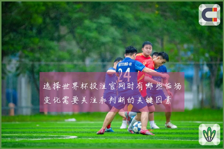 选择世界杯投注官网时有哪些临场变化需要关注和判断的关键因素
