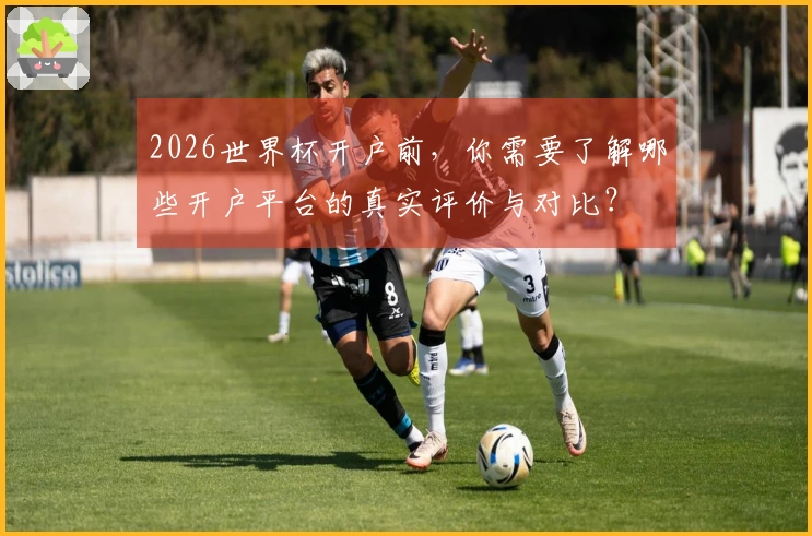 2026世界杯开户前，你需要了解哪些开户平台的真实评价与对比？