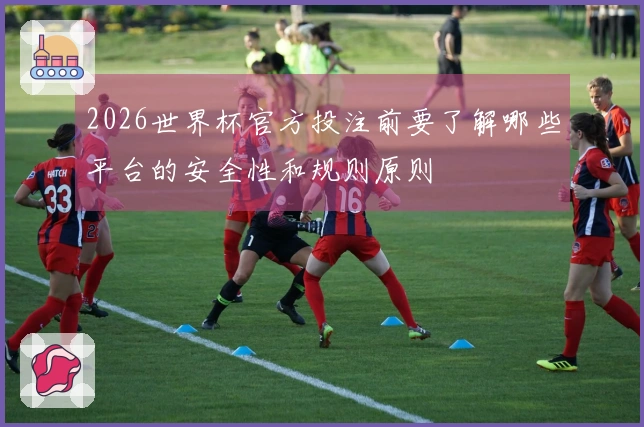 2026世界杯官方投注前要了解哪些平台的安全性和规则原则