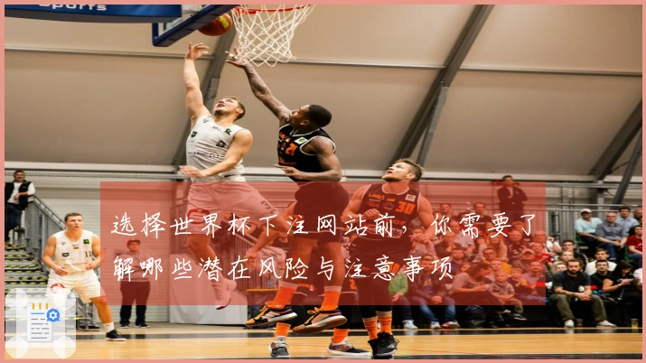 选择世界杯下注网站前，你需要了解哪些潜在风险与注意事项