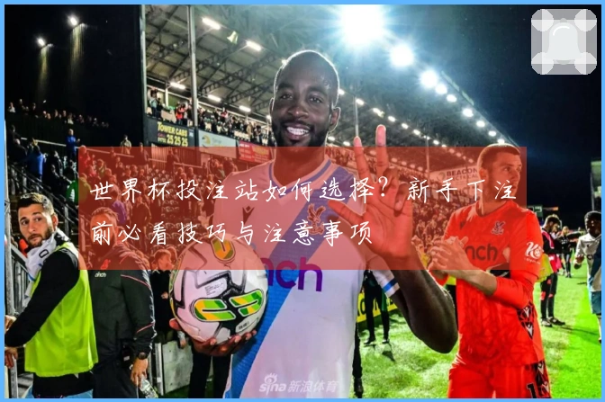 世界杯投注站如何选择？新手下注前必看技巧与注意事项