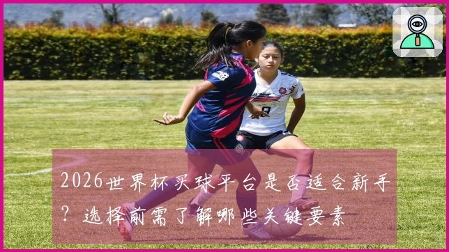 2026世界杯买球平台是否适合新手？选择前需了解哪些关键要素