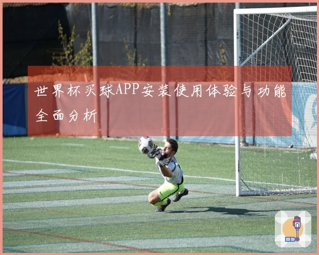 世界杯买球APP安装使用体验与功能全面分析