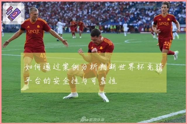 如何通过案例分析判断世界杯竞猜平台的安全性与可靠性