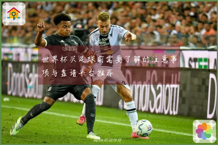 世界杯买足球前需要了解的注意事项与靠谱平台推荐