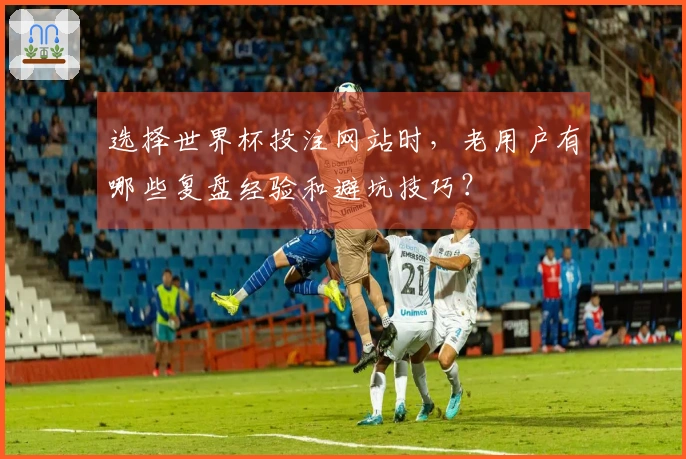 选择世界杯投注网站时，老用户有哪些复盘经验和避坑技巧？