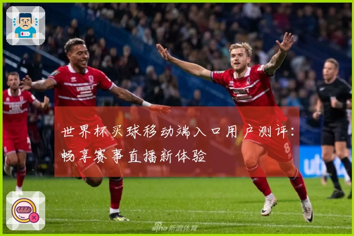 世界杯买球移动端入口用户测评：畅享赛事直播新体验