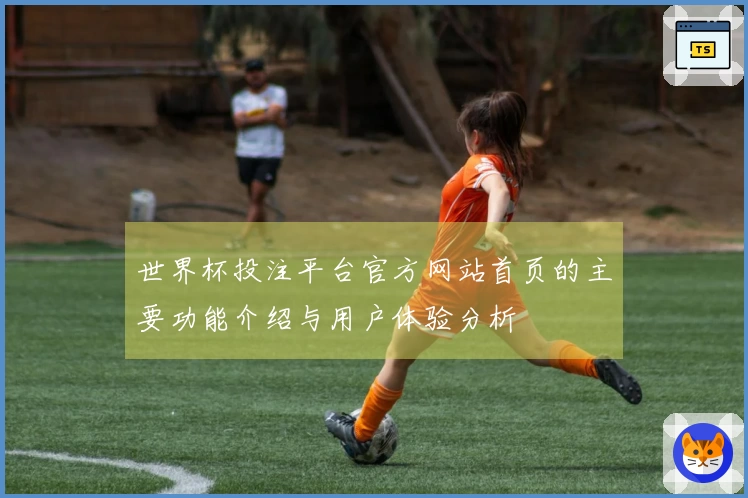 世界杯投注平台官方网站首页的主要功能介绍与用户体验分析