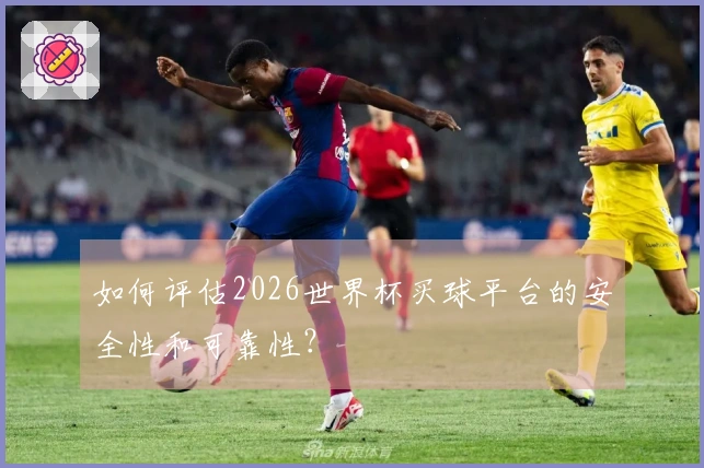 如何评估2026世界杯买球平台的安全性和可靠性？