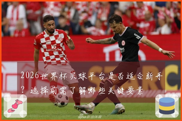 2026世界杯买球平台是否适合新手？选择前需了解哪些关键要素