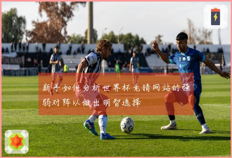 新手如何分析世界杯竞猜网站的强弱对阵以做出明智选择