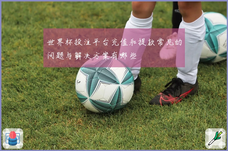 世界杯投注平台充值和提款常见的问题与解决方案有哪些