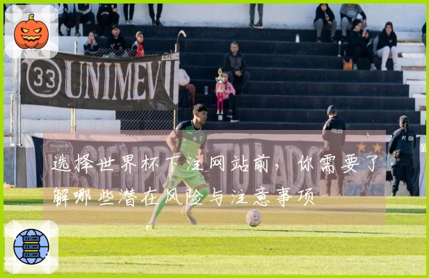 选择世界杯下注网站前，你需要了解哪些潜在风险与注意事项