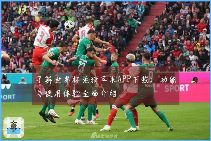 了解世界杯竞猜苹果APP下载：功能与使用体验全面介绍