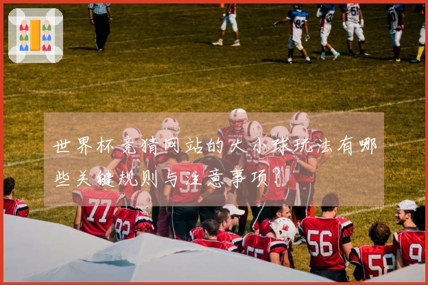 世界杯竞猜网站的大小球玩法有哪些关键规则与注意事项？