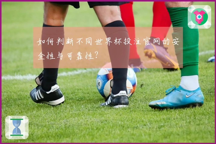 如何判断不同世界杯投注官网的安全性与可靠性？