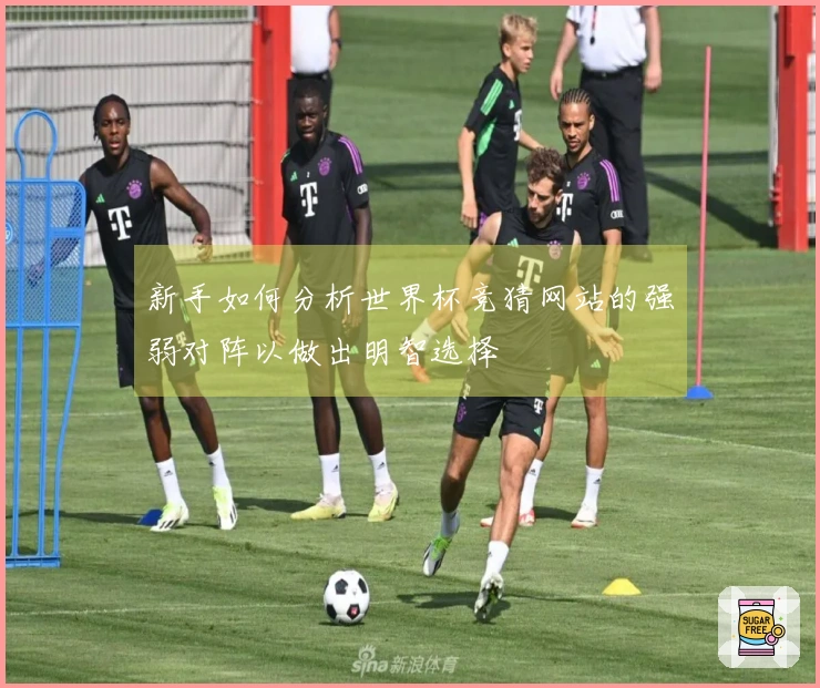新手如何分析世界杯竞猜网站的强弱对阵以做出明智选择