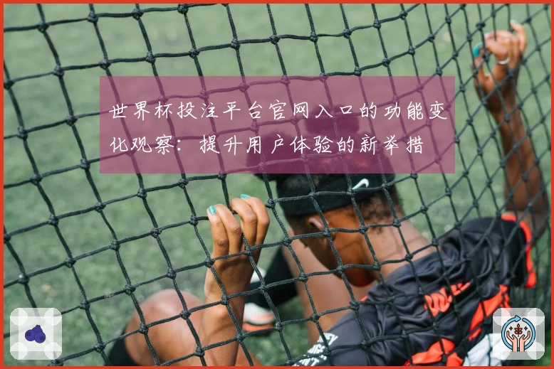 世界杯投注平台官网入口的功能变化观察：提升用户体验的新举措