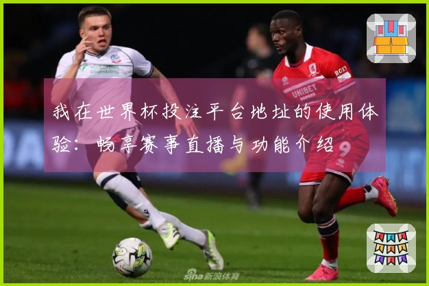 我在世界杯投注平台地址的使用体验：畅享赛事直播与功能介绍