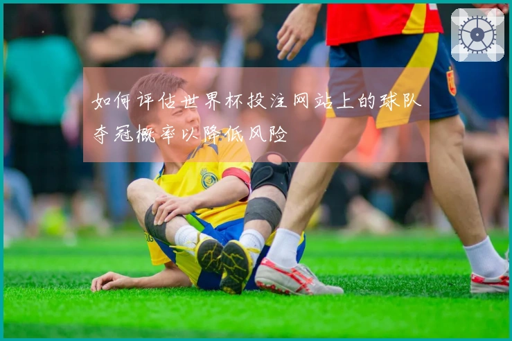 如何评估世界杯投注网站上的球队夺冠概率以降低风险