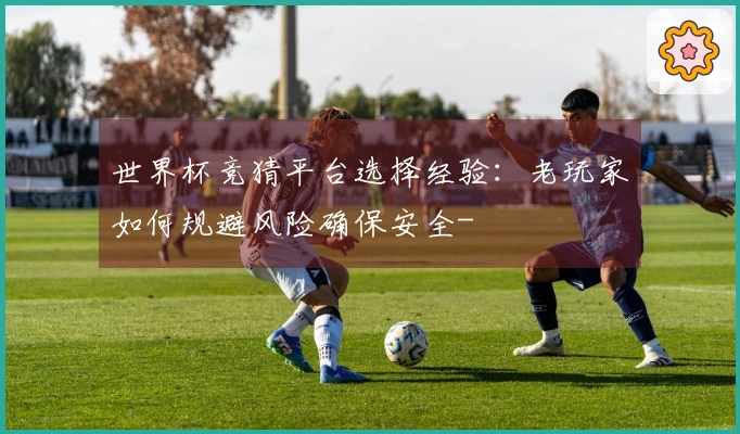 世界杯竞猜平台选择经验：老玩家如何规避风险确保安全-
