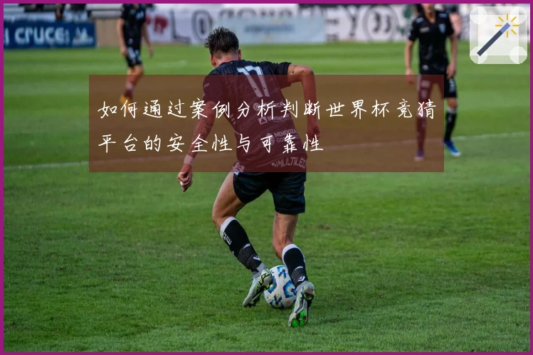 如何通过案例分析判断世界杯竞猜平台的安全性与可靠性
